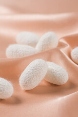Natural white silkworm cocoons on brown silk fabric background