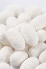 Fototapeta na wymiar Natural silkworm cocoons on white silk fabric background