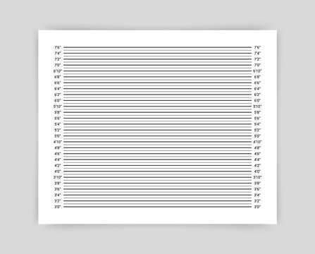 Police mugshot board. Mug shot criminal background with lines in inches. Wall measurements template for wanted picture. Lineup backdrop. Identification frame for crime arrest. Vector illustration.
