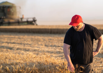 Young farmer standing on wheat field during harvest