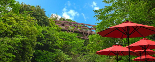 Kakusenkei in Kaga City, Ishikawa, Japan. Ayatori Bridge, Valley and a riverside restaurant. 鶴仙渓。石川県加賀市山中温泉。あやとり橋と渓谷と川床。 © Kana Design Image