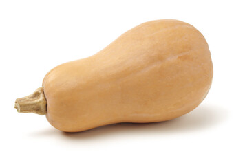 fresh butternut pumpkin on white background