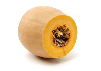 fresh butternut pumpkin on white background