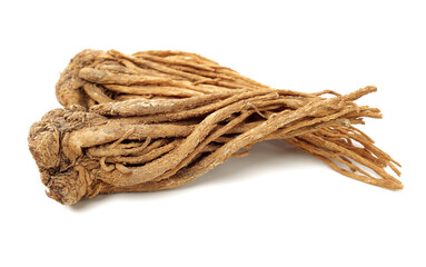 Angelica root used in chinese traditional herbal medicine, over white background. Radix angelicae sinensis