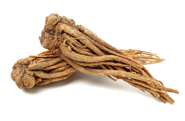 Angelica root used in chinese traditional herbal medicine, over white background. Radix angelicae...