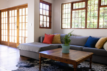 Interior of home with colorful cushions on sofa and potted plant on coffee table against windows