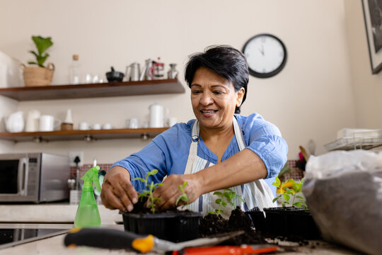 Low angle view of smiling biracial mature woman planting saplings in seedling tray at home