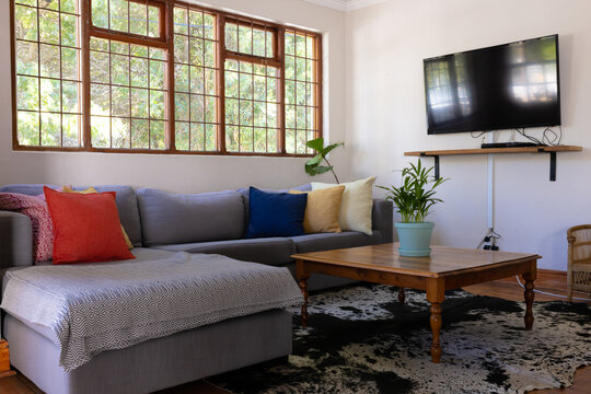 Interior of home with tv on wall, colorful cushions on sofa and potted plant on coffee table