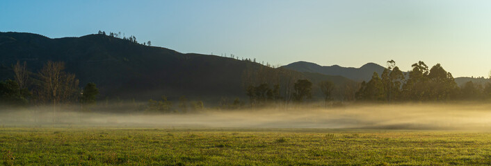 the sunrise lighting the low fog over the paddock