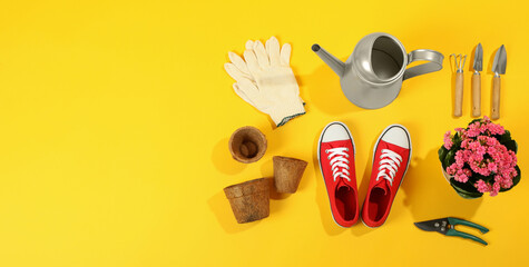 Gardening tools and accessories on yellow background