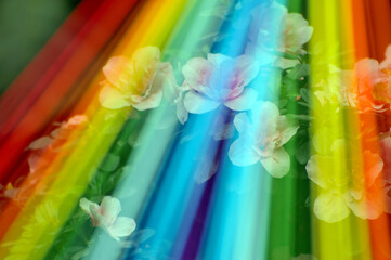 Color nylon rope under the sunlight