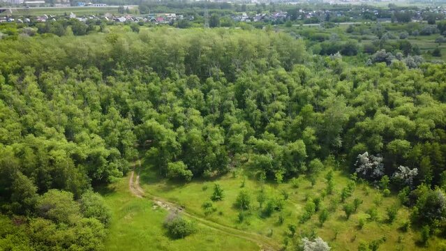 All-round view from above of a suburb with green plantings and a reservoir. Summer landscape.