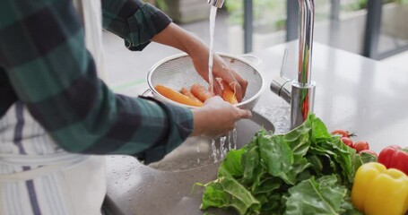 Video of hands of asian woman washing vegetables