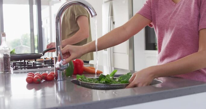 Video of midsection of diverse couple preparing vegetables for cooking