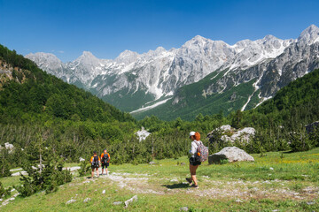 A group of hikers walks in the mountains of Albania. Mountains on the north Albania - obrazy, fototapety, plakaty