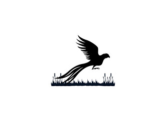 Beauty Flying Pheasant Silhouette Logo design 