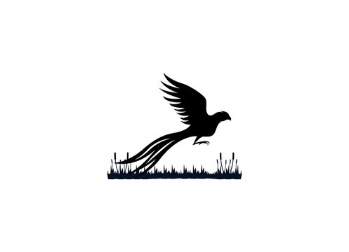 recommend clip art: Beauty Flying Pheasant Silhouette Logo design 