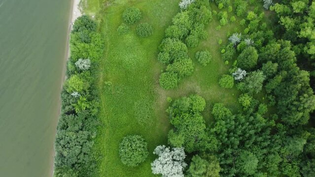 Top view of the river bank, summer landscape. Natural background.