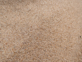 Macro shot of yellow, fine sand on sunny Baltic sea beach. Sand grains in sunlight. Textured nature...
