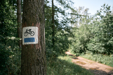 Bicycle route sign on a tree in the forest. Blue path cycling road sign in the woods on a trunk.