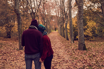 Fototapeta premium Young white Caucasian couple with unrecognizable backs holding hands on a ground of fallen brown leaves and a path of trees in a park in autumn