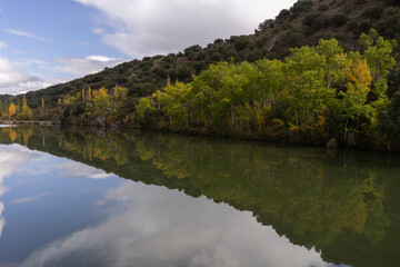 Autumn landscape in Soria with the yellow and green trees reflected in the Duero river with some clouds in the sky, Spain