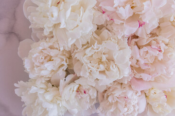 a beautiful bouquet of delicate peonies close-up on a marble background. greeting card. layout, wallpaper.