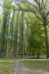 Very important park of Soria with a stone path that goes through areas with very tall trees that are yellowing with the arrival of autumn. Spain
