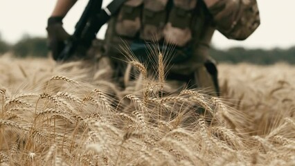 A soldier returning home touches the tops of wheat in a wheat field at sunset. A soldier trying to forget the horror of war finds peace and solitude in wheat.