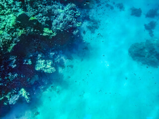 Turquoise marine abstract pattern with copy space. Underwater life in the Red Sea at depth