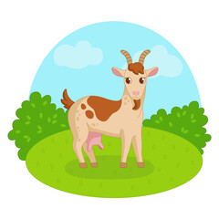 Obraz na płótnie Canvas Goat on the background of grass and sky