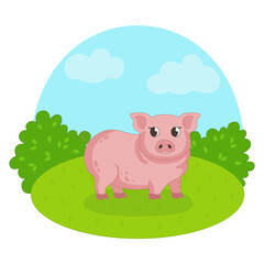 Pig on the background of grass and sky