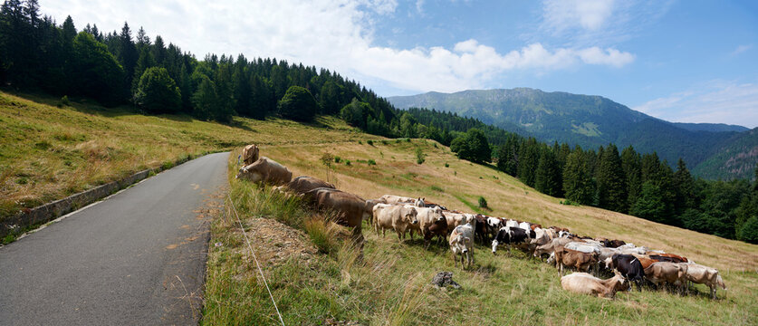val palot
