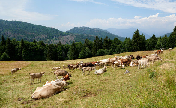 val palot