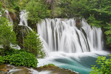 Fototapeta premium waterfall in the forest