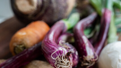Seasonally grown vegetables (carrots, onions, parsnips,rutabaga, parsnip) displayed on a wooden surface.  Soup ingredients and food preparation concept. 