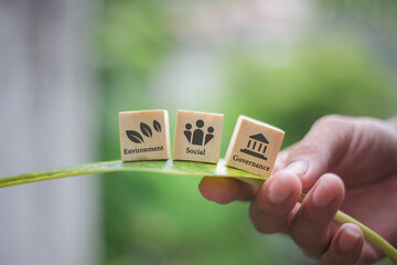 Leaves with wood blocks The word ESG on wood blocks is a sustainable corporate development concept that takes into account three main areas: environment, society and governance.