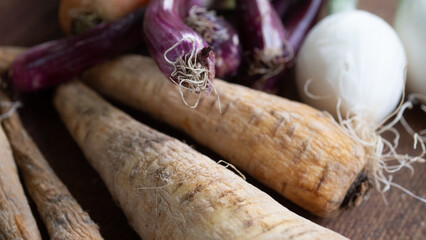 Seasonally grown red onion captured up close, along with other vegetables (carrots, onions, parsnips,rutabaga, parsnip).  Soup ingredients and food preparation concept. 