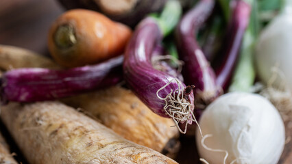 Seasonally grown red onions captured up close, along with other vegetables (carrots, onions, parsnips,rutabaga, parsnip).  Soup ingredients and food preparation concept. 