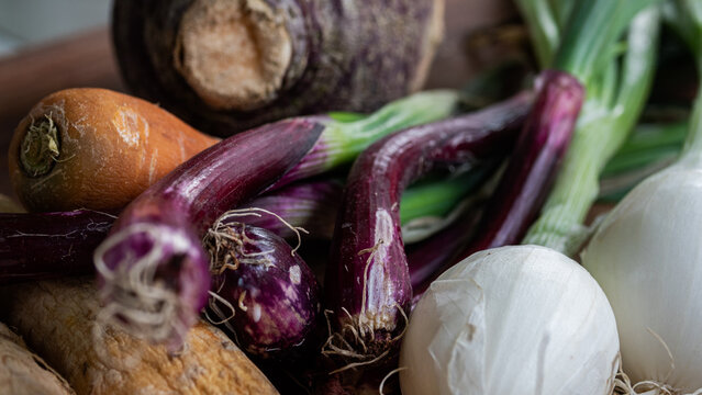 Seasonally grown red onions captured up close, along with other vegetables (carrots, onions, parsnips,rutabaga, parsnip).  Soup ingredients and food preparation concept. 