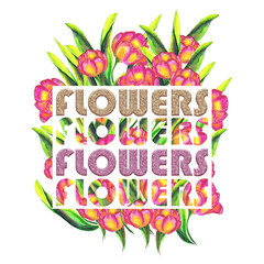 Tulips with glittering letters hand drawn watercolor. For t-shirt design