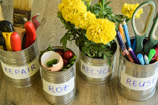 Top view stationery, home flower, tools, organic waste in tin cans standing in row on wooden background. Using cans on different purposes at home. Upcycling, Environment conservation. Reducing waste