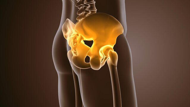 Pelvic pain medical animation background