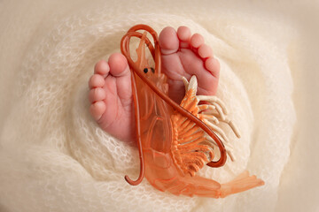 A toy red shrimp in the legs of a baby. Soft feet of a new born in a white wool blanket. Close-up of toes, heels and feet of a newborn. Macro photography the tiny foot of a newborn baby.