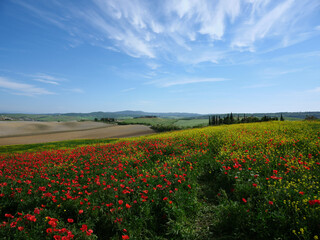 Views of beautiful Tuscany in Italy.