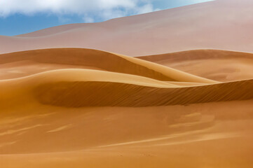 Sand dunes in the Namib desert