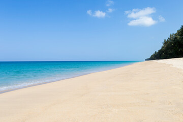 Tropical beach background, summer outdoor day light