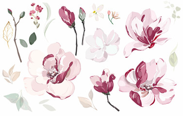 Set of floral branch - Magnolia. Flower  and leaves. Botanical