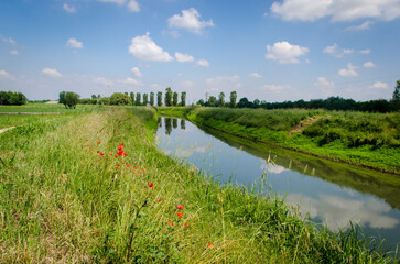 Un tratto della Via Postumia, cammino che parte da Aquileia e arriva a Genova, attraversa la...