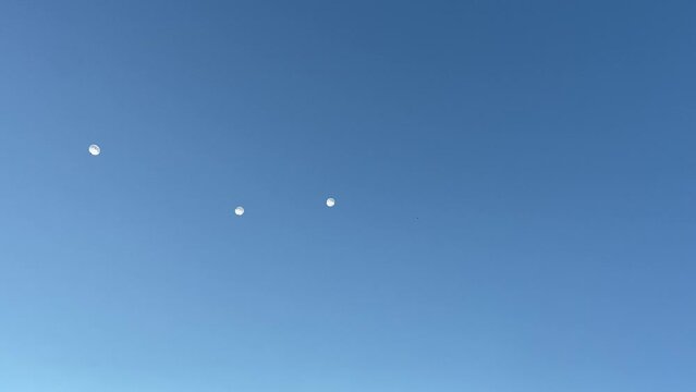 A group of parachutists with white parachutes floating in the sky as seen from below.